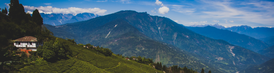 Assam