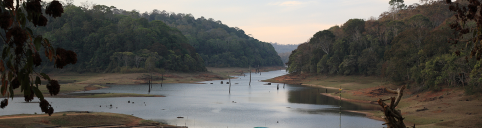 Tripura