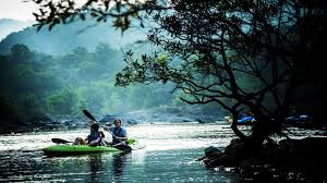 dandeli