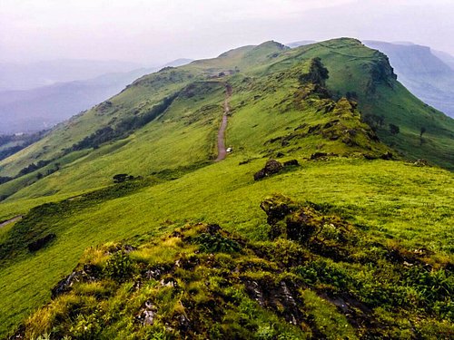 Trekking & Scenic Drives → Transfer to Coorg