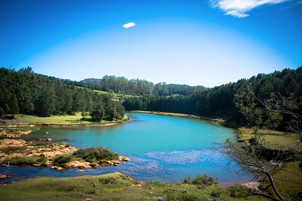 Coorg to Ooty