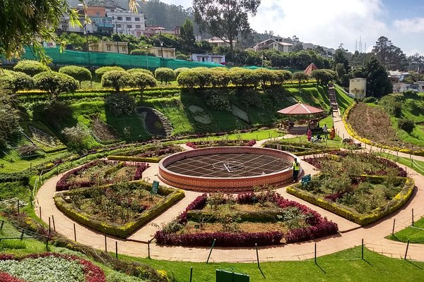 Wayanad to Ooty Travel Highlights: