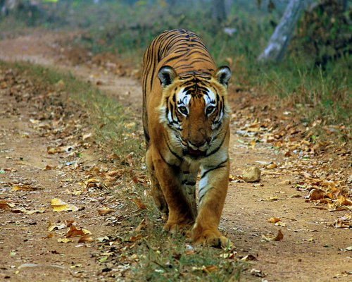 Mysore to Wayanad Journey Highlights:
