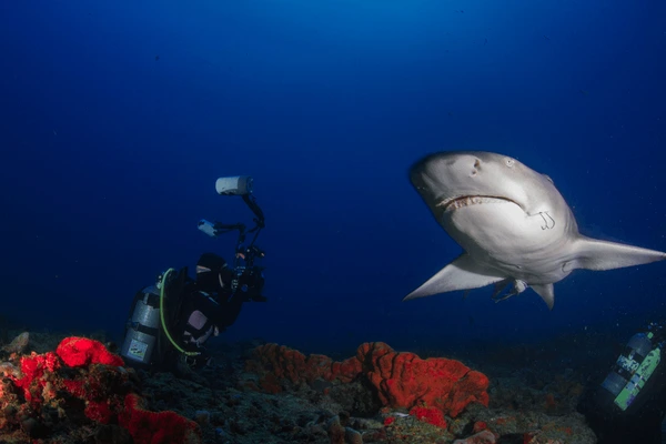 Havelock Underwater Adventure