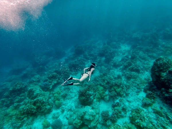 Island Adventure